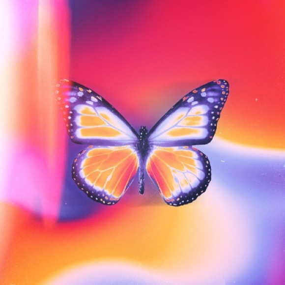 Meet your Posher, Opal - Picture 1 of 1